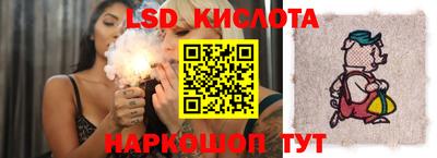 прущие грибы Кимры