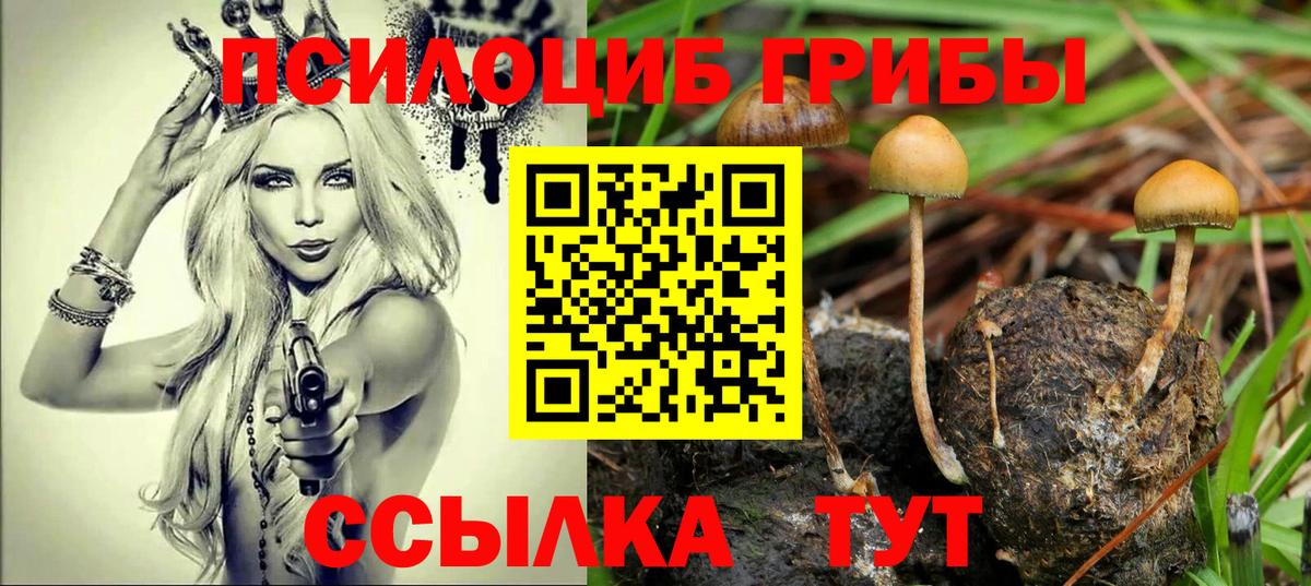 Псилоцибиновые грибы мицелий Крымск