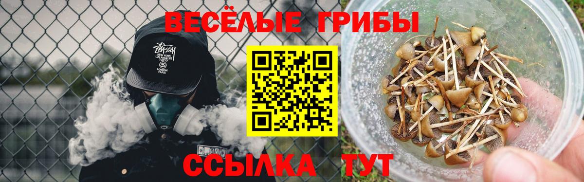 Галлюциногенные грибы MAGIC MUSHROOMS  Галлюциногенные грибы Psilocybine cubensis  Крымск  Вход с VPN 